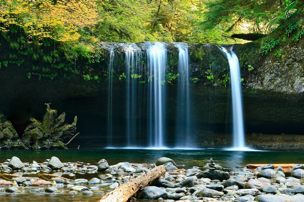 Scenic waterfall surrounded by greenery